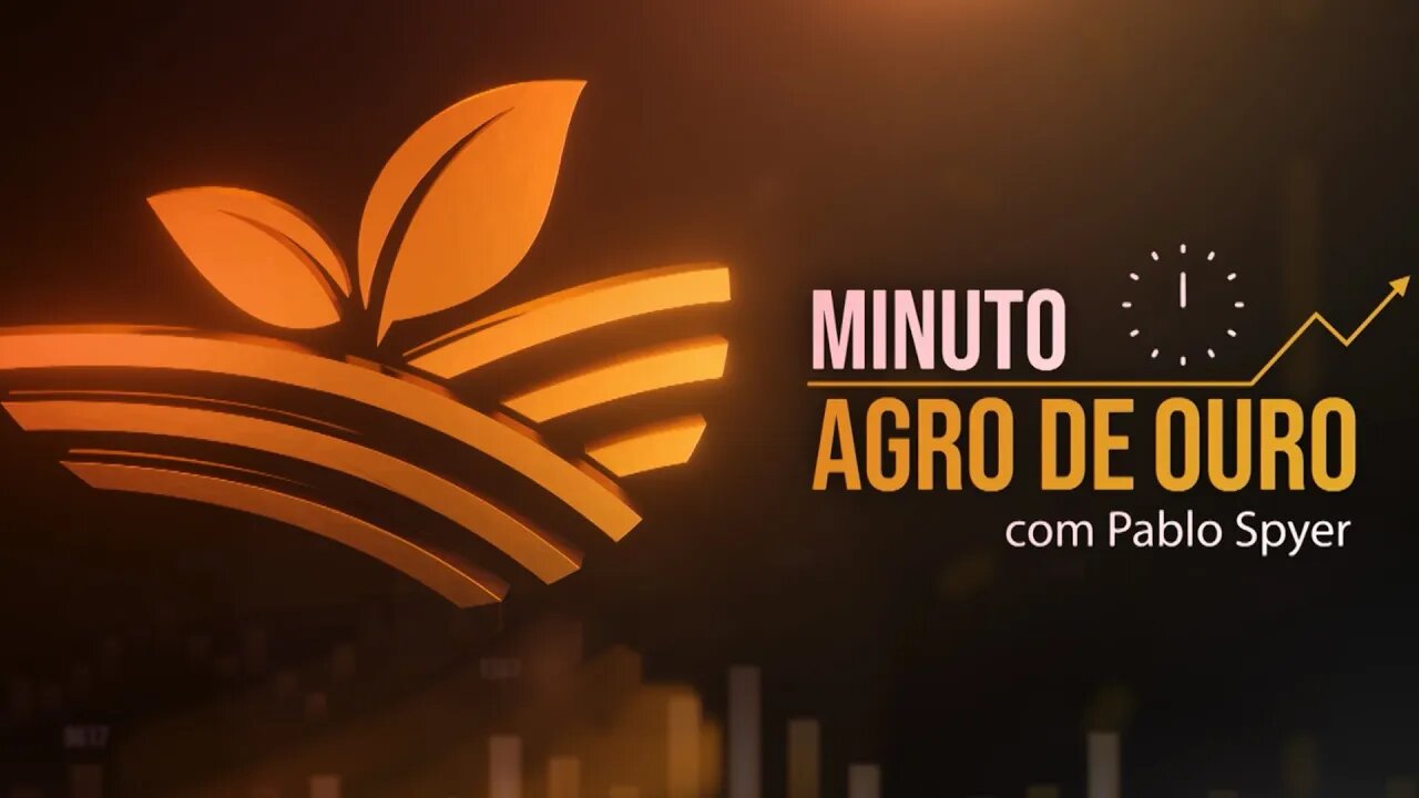 Rio seco nos EUA, café em queda, recorde de exportações e porto são destaques | Minuto Agro de Ouro