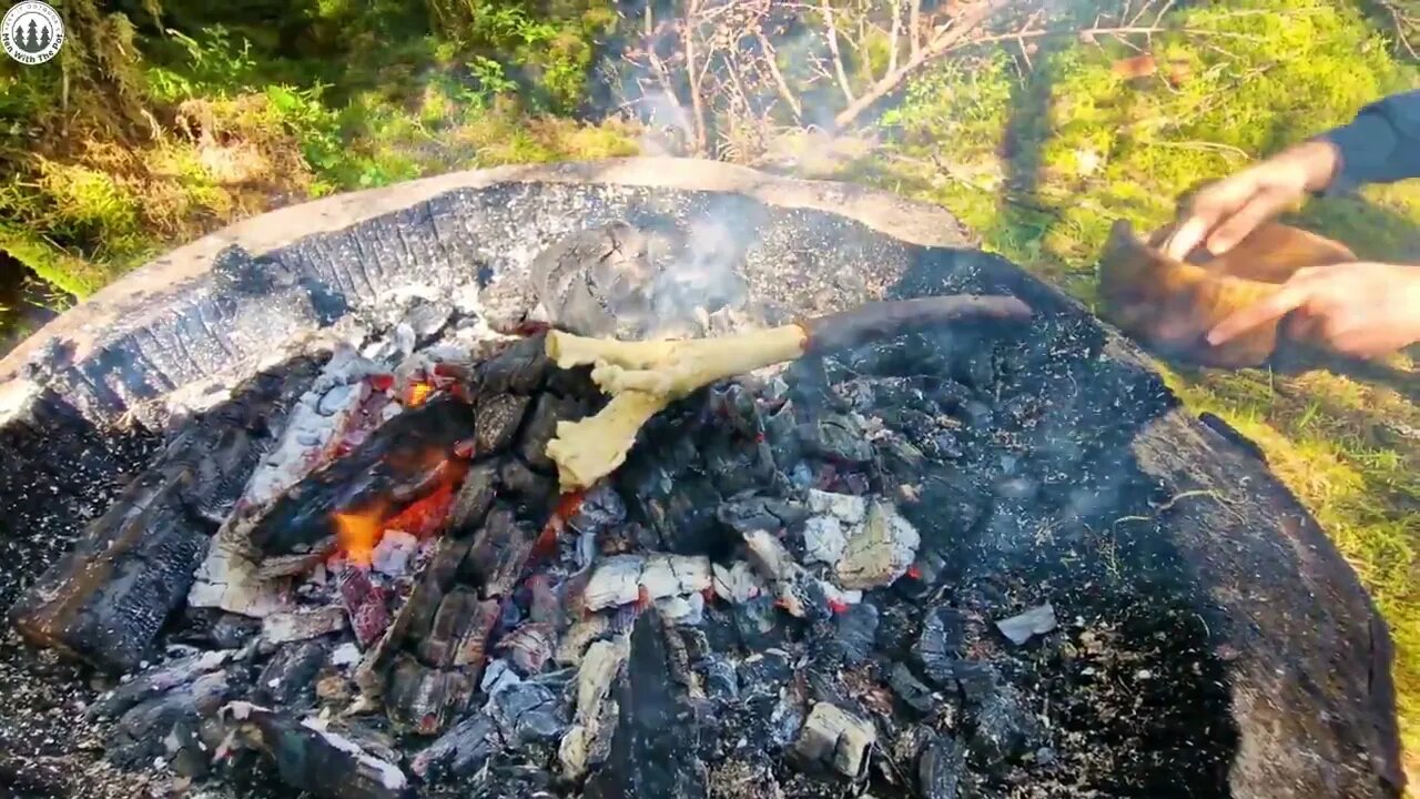 CAMPING after Storm, cooking meatloaf in Forest