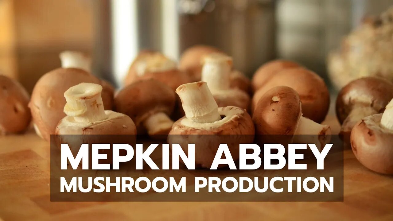 Mepkin Abbey Mushroom Production