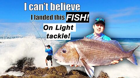 UNBELIEVABLE FISH ON LIGHT TACKLE AND SMALL HOOK IN A VERY FOUL SPOT! MUSSEL CRACKER VS TINY HOOK!