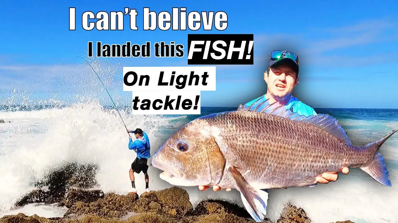 UNBELIEVABLE FISH ON LIGHT TACKLE AND SMALL HOOK IN A VERY FOUL SPOT! MUSSEL CRACKER VS TINY HOOK!