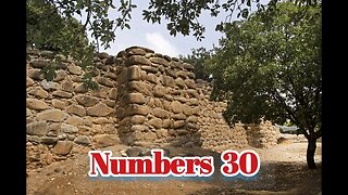Numbers 30