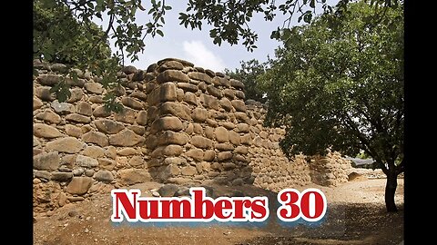 Numbers 30