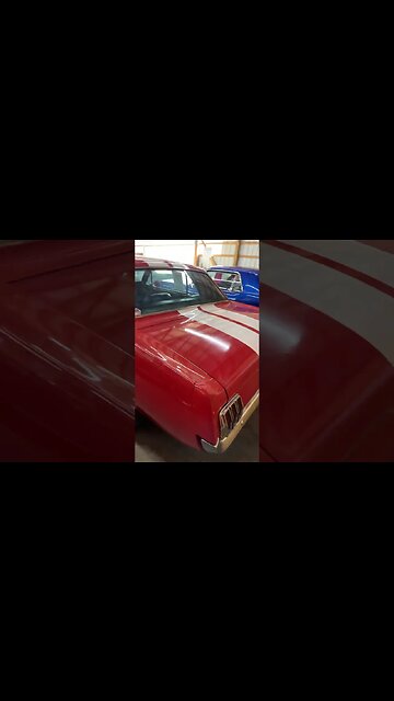 #mustang #ford #fordmustang #classiccarsforsale #classiccars