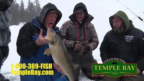 Temple Bay Ice Commercial 2019