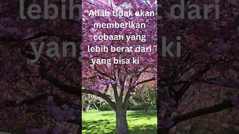 QUOTES ISLAMI:QUOTES MOTIVASI ISLAMI#shorts #shortsfeed #shortsquotes