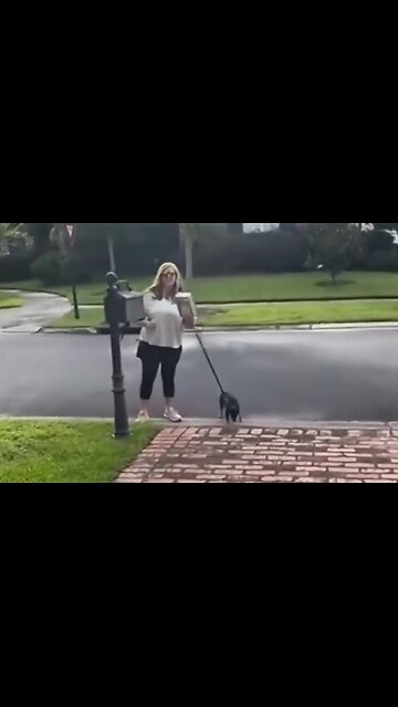 Mental illness is running rampant in the western world