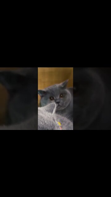 эти приколы искали все / приколы 2022 / приколы 2022 тик ток / тик ток приколы смотреть