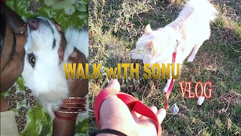 evening vlogging with my dog ronnie { sonu } || T2AK || cute dog