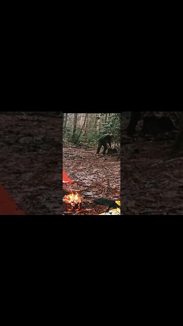 #bikelife #ebike #bushcraftcamp #electricbicycle #camping #wilderness #electricbikereview #bike