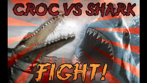 Crocodile Vs Shark Who Will Be The BEST