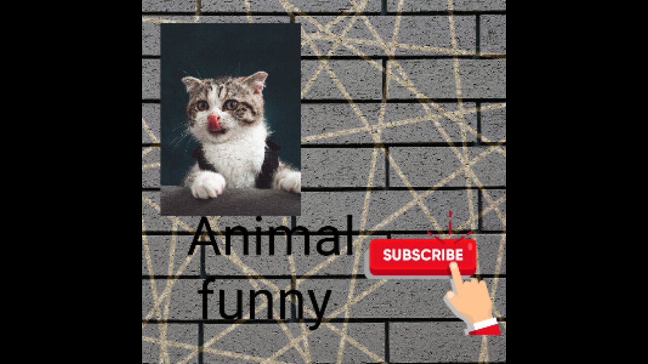 This is very interesting video