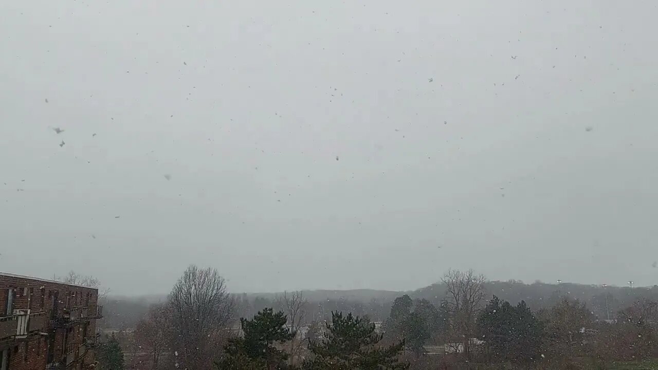 Tired of cold snow 4/9/22 Ohio