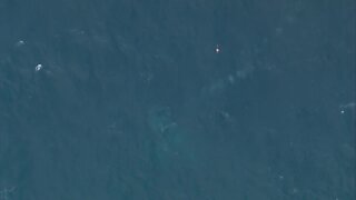 CHOPPER 5 VIDEO: Small plane found after crashing near Boynton Beach Inlet