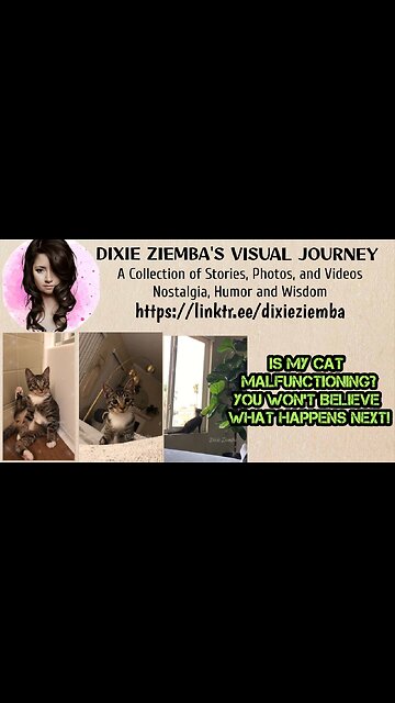 Is My Cat Malfunctioning? You Won't Believe What Happens Next!