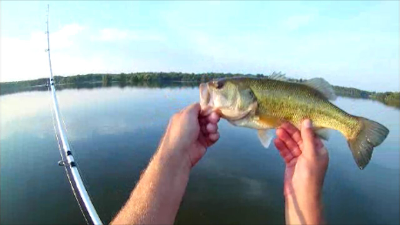 A Good Day of Fishing