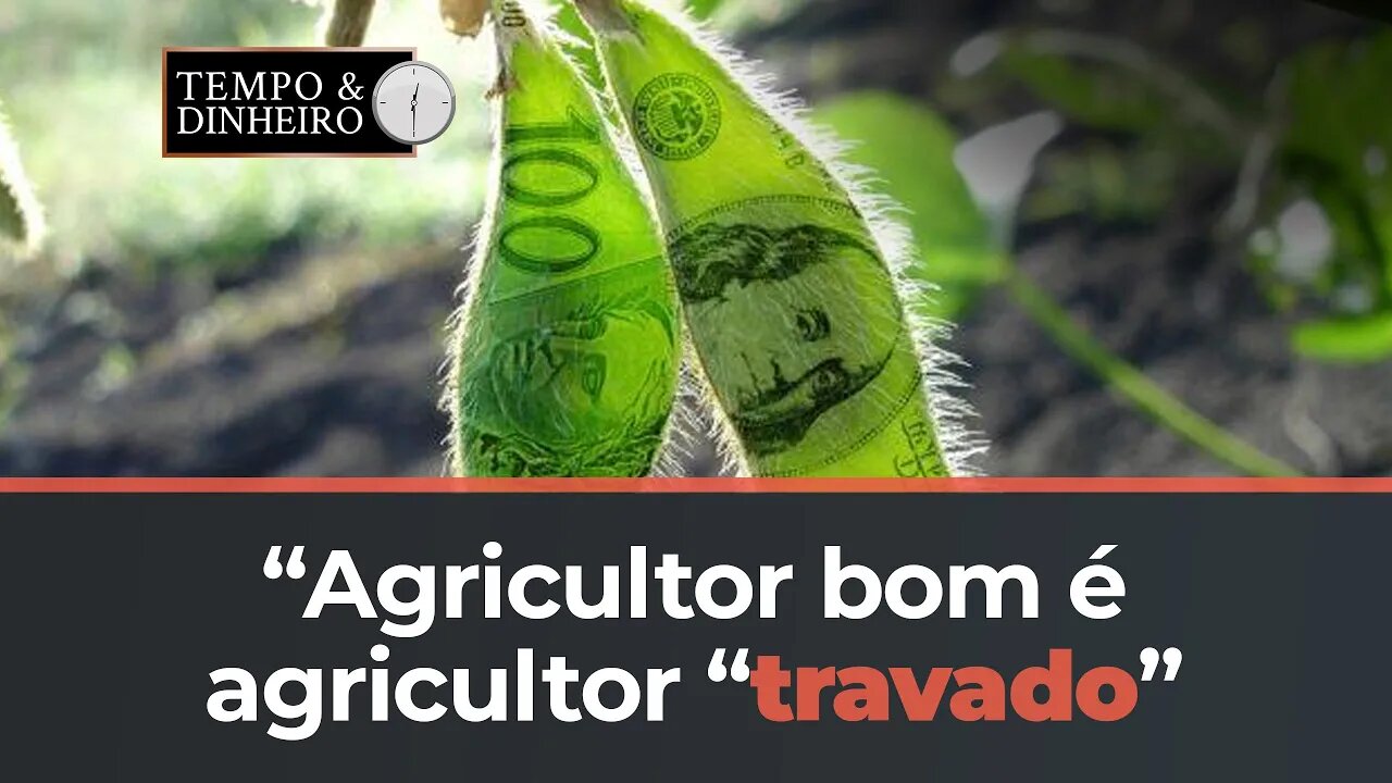 Agricultor bom, é agricultor travado. Maurício Bellinelo comenta direto de Sinop.