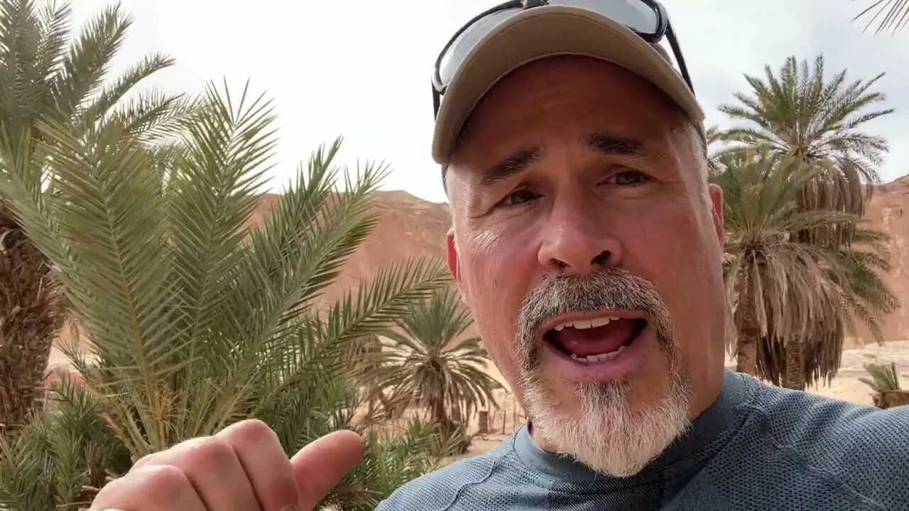 Episode 581 - the Sinai desert