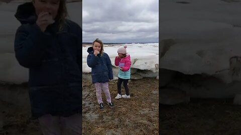 Eating ice from the frozen ocean