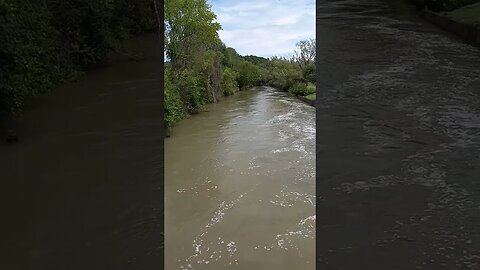 Lachute River Almost Overflowing (Facing East)