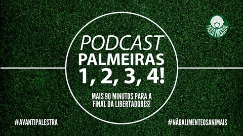 90 MINUTOS... PALMEIRAS VIVO PRA FAZER MAIS UMA FINAL DE LIBERTADORES. TEM NOÇÃO?