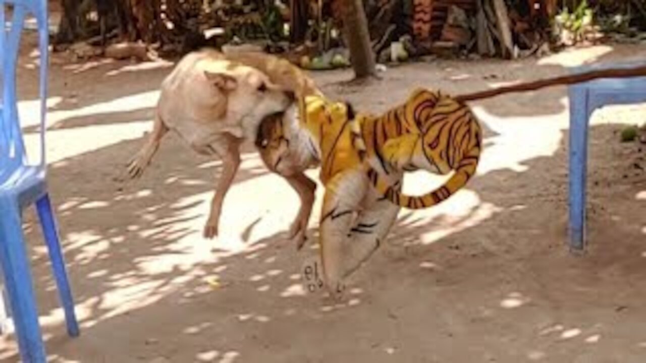 WATCH This Fake Tiger Prank - Dogs Going Mad (Very Funny)