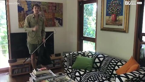 Pitone addormentato sul divano in Australia
