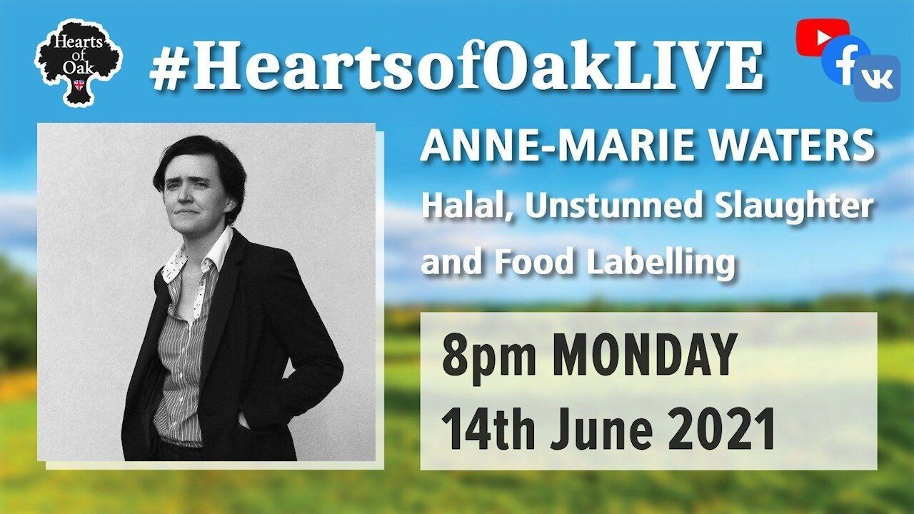 Anne-Marie Waters: Halal, Unstunned Slaughter and Food Labelling 14.6.21