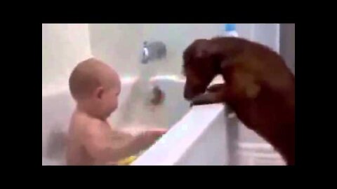 Best Funny Baby FUNNY BABY VIDEOS