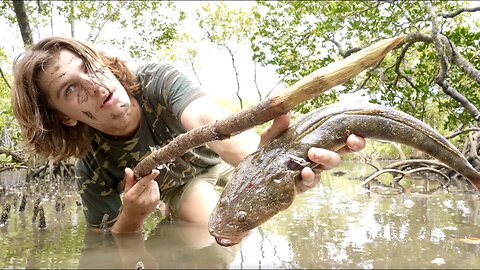 Surviving 24 Hours in the MANGROVES Challenge - Primitive Spearfishing AUSTRALIA