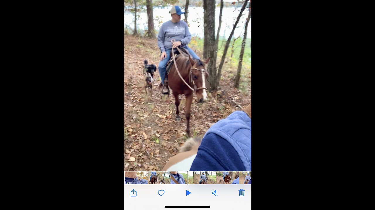 Horseback riding through the wooded trails in Alabama