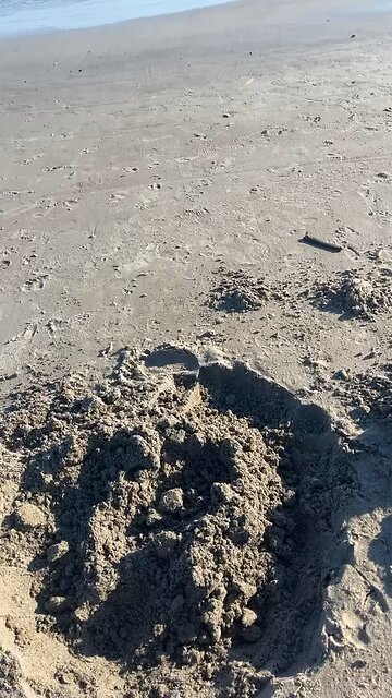 Digging A Pool in the Sand 🏖️ #NorthCarolina #beach #familyfun #funinthesun