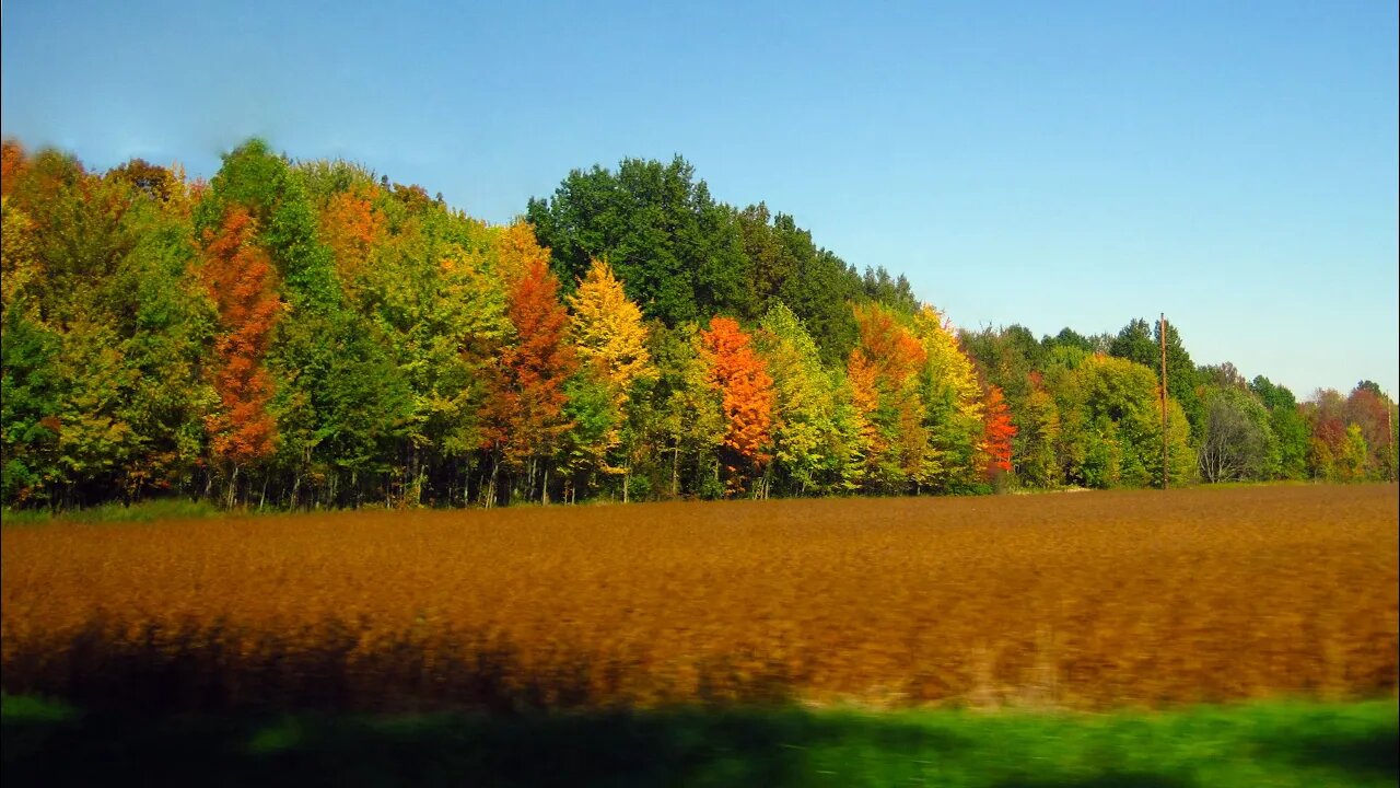 Live Q & A with Marie from My Bucolic Life