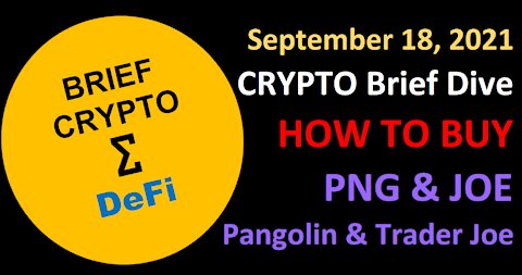 HOW TO BUY - Pangolin PNG Trader Joe JOE and other DeFi Crypto