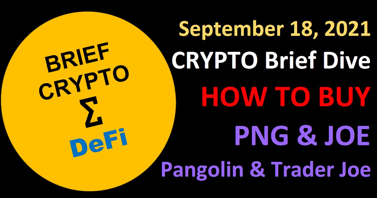 HOW TO BUY - Pangolin PNG Trader Joe JOE and other DeFi Crypto