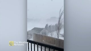 Blowing snow turns the landscape white on the prairies