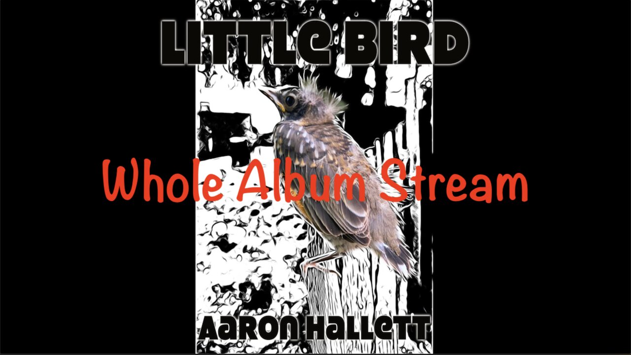 "Little Bird" by Aaron Hallett Whole Album