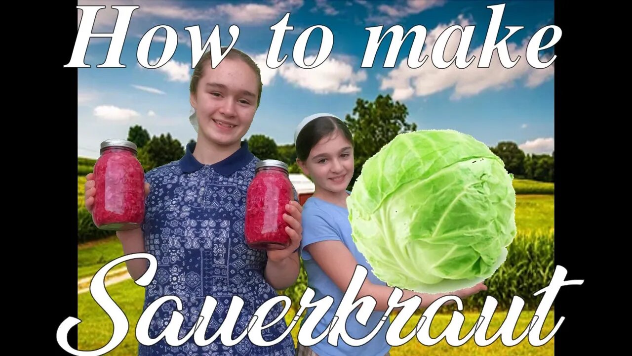 How to make Sauerkraut- Quick and Easy way to Ferment cabbage