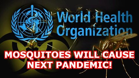 BREAKING: WORLD HEALTH ORGANIZATION SAYS MOSQUITOES WILL CAUSE NEXT PANDEMIC