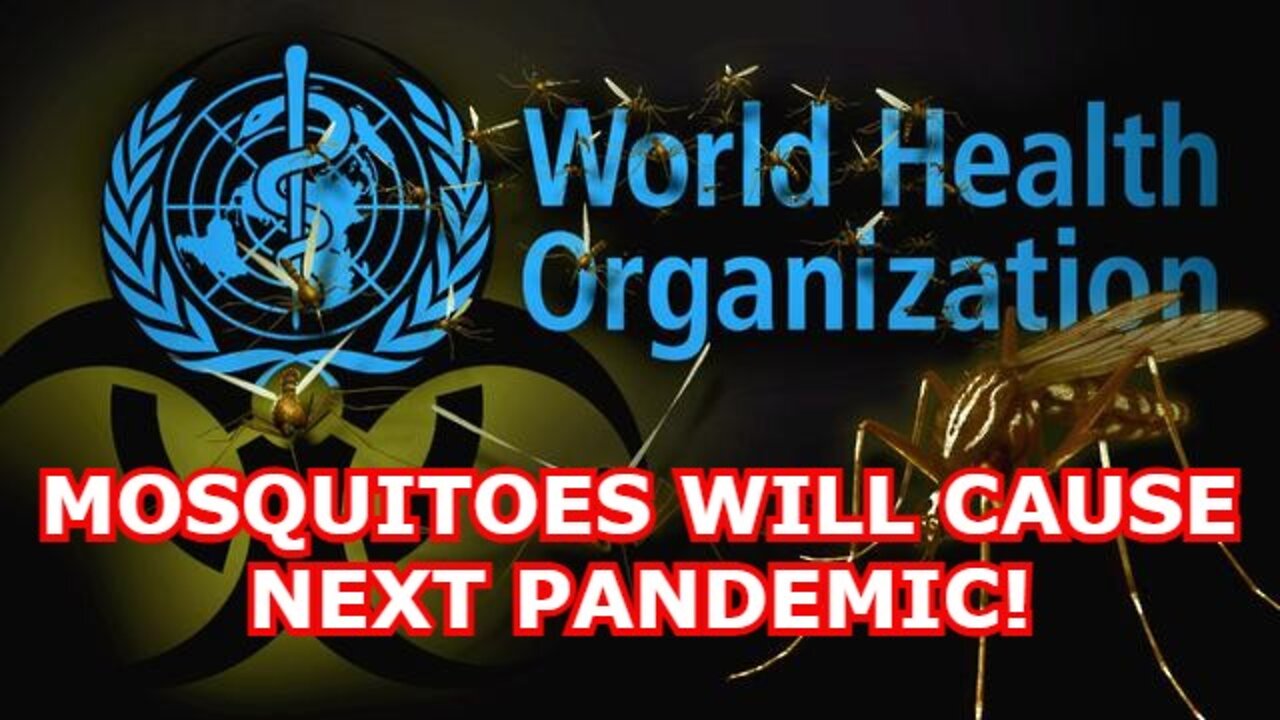 BREAKING: WORLD HEALTH ORGANIZATION SAYS MOSQUITOES WILL CAUSE NEXT PANDEMIC