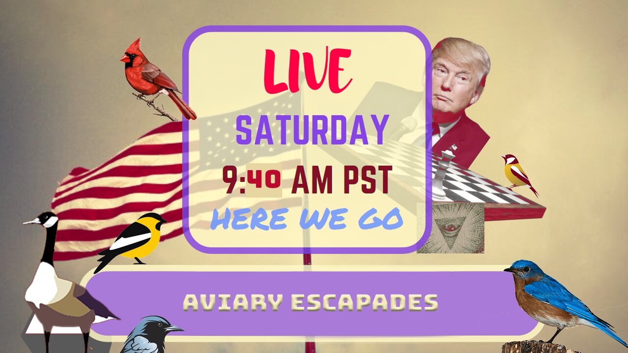 Saturday *LIVE* Aviary Escapades