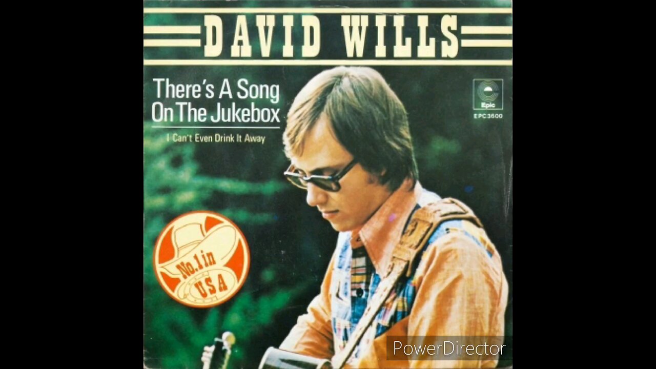 David Wills - Your All Over This Place