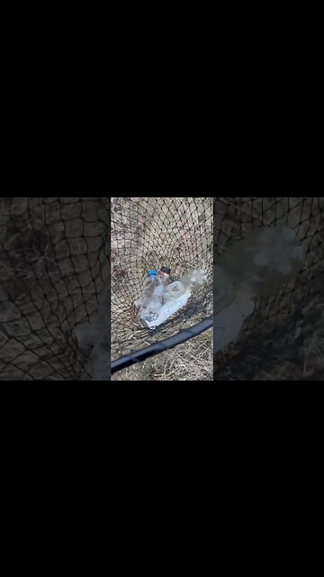 Gilbert Gottfried picks up trash