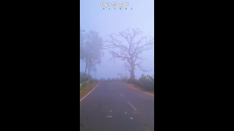 koraput monsoon