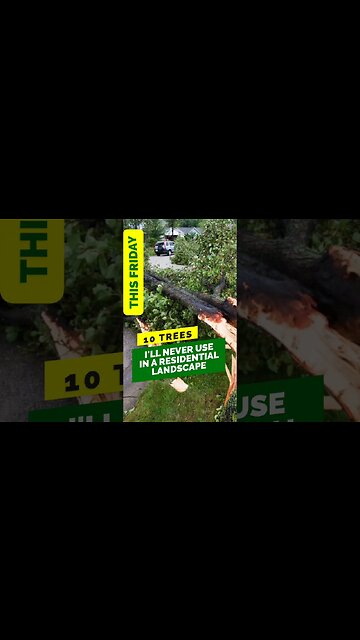 10 Trees to AVOID in your Residential Landscape | Coming Friday