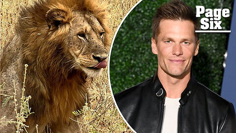 Tom Brady takes daughter Vivian on safari amid Irina Shayk romance