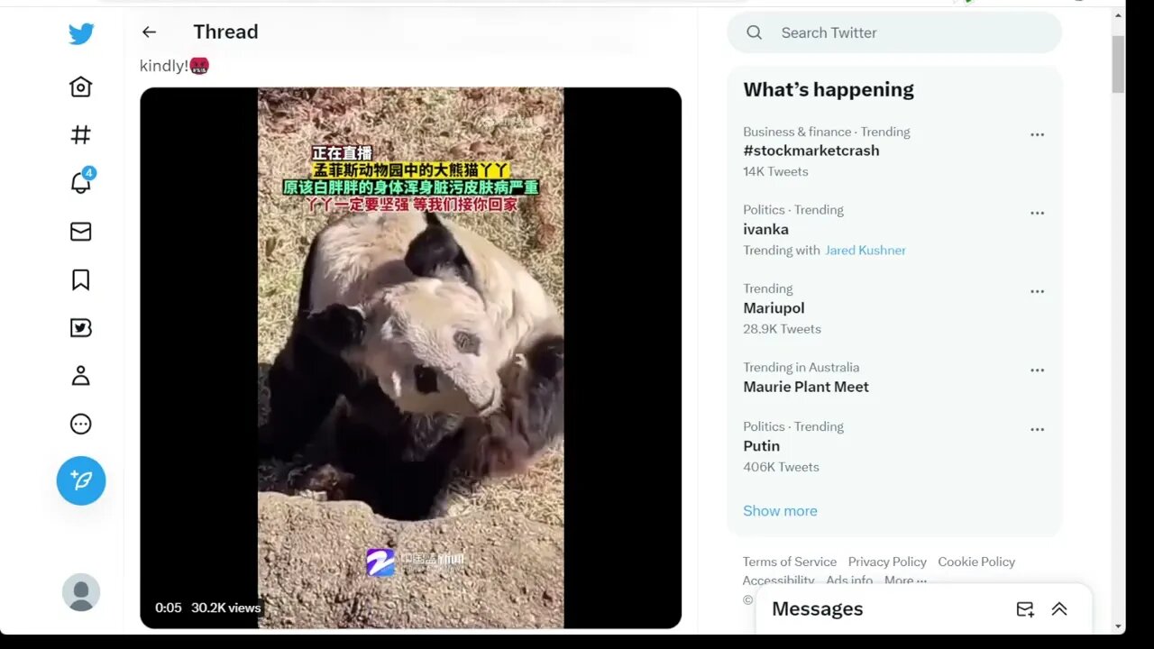 目前居住在美國孟菲斯動物園的熊貓