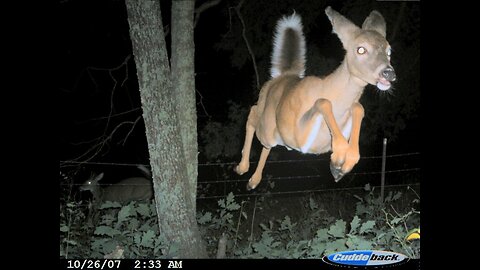 ((BITCHUTE-RUMBLE EXCLUSIVE SERIES))-OFFENSIVE MEMES- BEST OF 4CHAN GIF\YLYL VOL-118