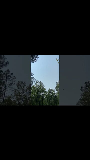 When Sporting Clay Station Takes Fun to a New Extreme