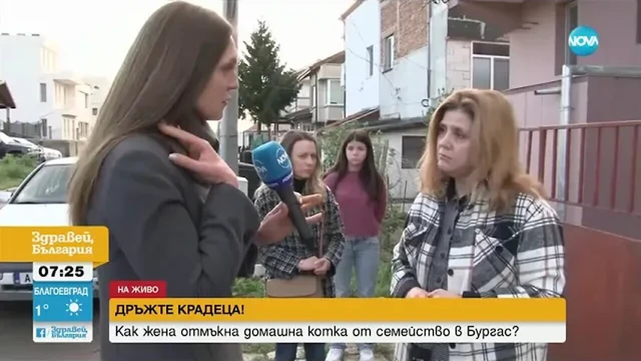 Жена се престори на общински служител и отвлече домашна котка